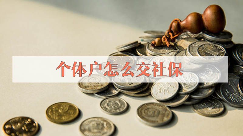 个体户怎么交社保